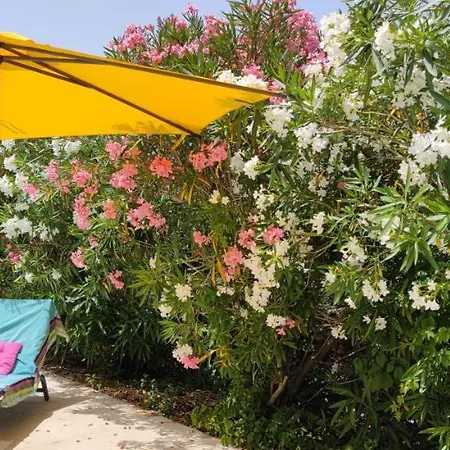 Le Reve D'alice 3* Saint-Puy